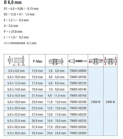 Blindnieten Aluminium/Stahl (Ø x L) 6,0 x 8,0 mm mit Flachkopf ISO15977 9005 schwarz - Flachkopf Niete - Popniete - RAINBOW STANDARD