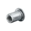 Blindnietmutter - Nietmutter - M10 Aluminium (Ø x L) 12,9 mm x 17,0 mm Flachkopf Rundschaft gerändelt mit Unterkopfverzahnung Schaftende offen Einziehmutter Einnietmuttern - GO-NUT
