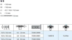 Blindnietmutter - Nietmutter - M8 Aluminium (Ø x L) 10,9 mm x 18,5 mm Flachkopf Rundschaft gerändelt mit Unterkopfverzahnung Schaftende offen Einziehmutter Einnietmuttern - GO-NUT