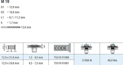 Blindnietmutter - Nietmutter - M10 Stahl verzinkt (Ø x L) 12,9 mm x 21,0 mm Senkkopf Rundschaft gerändelt mit Unterkopfverzahnung Schaftende offen Einziehmutter Einnietmuttern - GO-NUT